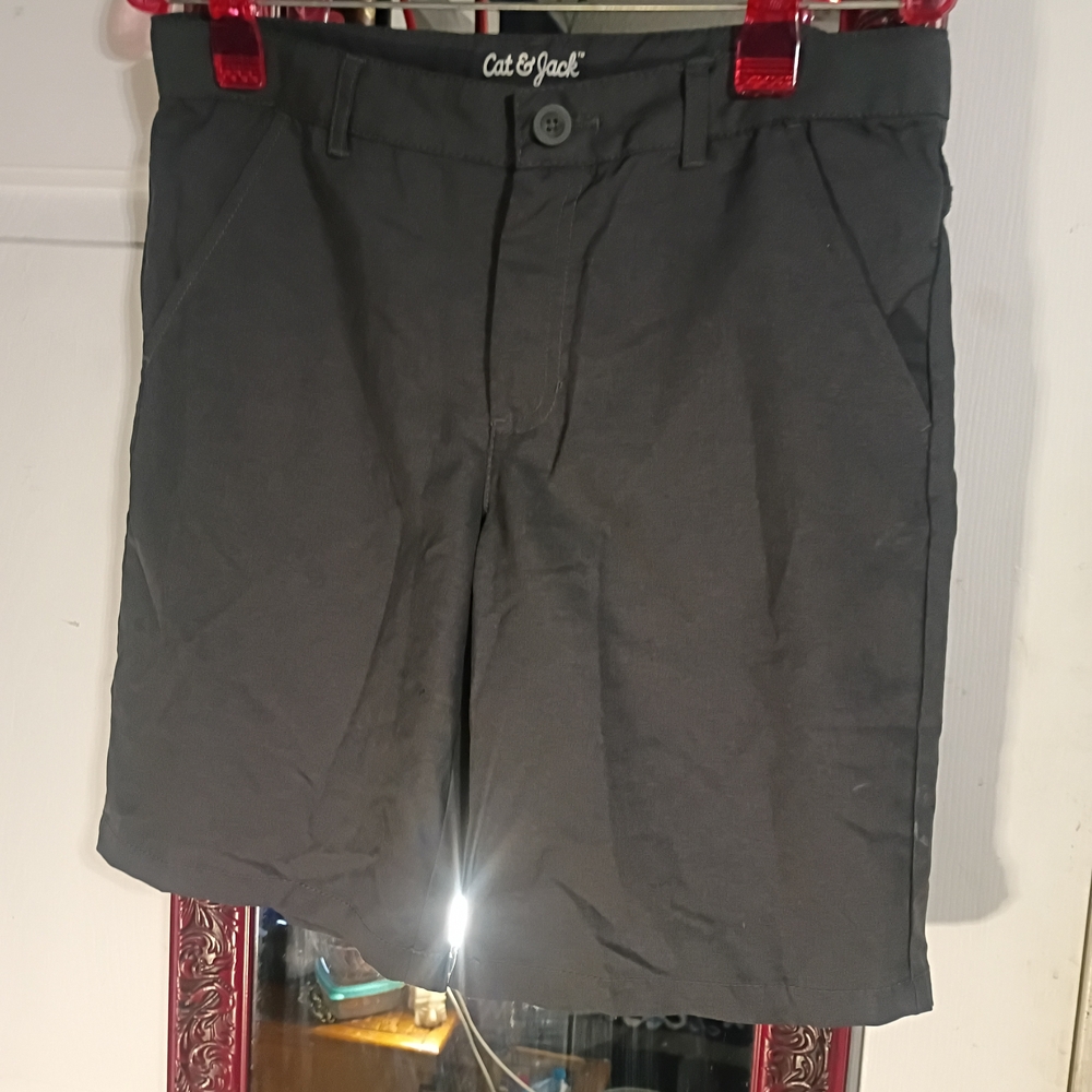 Cat & Jack Men's Charcoal Flat Front Shorts